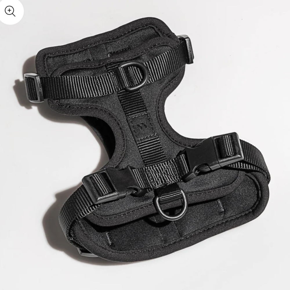 NWT Wild One Dog Harness and Leash - Picture 2 of 7
